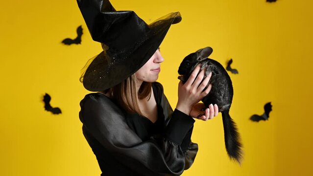 A young woman in a Halloween witch costume holds a chinchilla pet in her hands, on a yellow background