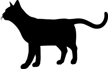 Silhouette Cat Pet Animal