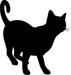 Silhouette Cat Pet Animal