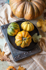 Pumpkins in a black plate on a wooden board. Autumn harvest. Close up - 542966456