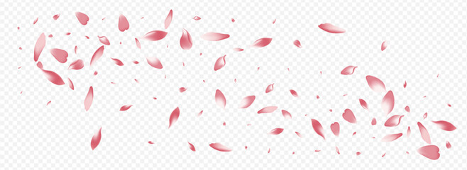 Fototapeta premium Bright Peach Vector Panoramic Transparent