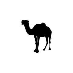 black and white vector desert animal silhouette logo design