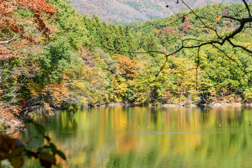初秋の長老湖と蔵王
