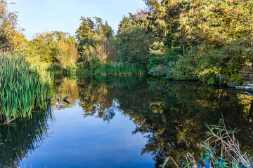 Fototapeta na wymiar Pond At Normandy Park 5