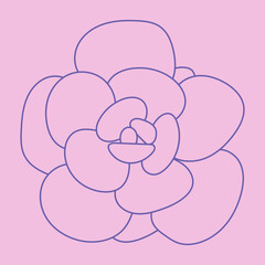 Hand drawn succulent plant. Modern Pattern. Doodle sketch vector illustration. Logo design.