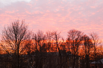 Fototapeta premium Bright red sunset in winter over old houses