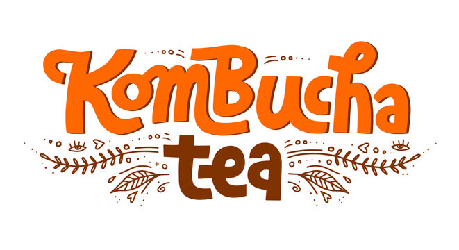 Kombucha vector hand written lettering, original calligraphy. Healthy fermented probiotic tea. Superfood drink. Template sign design for logo, label.