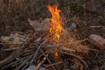 Kindling bonfire from improvised materials: deadwood, brushwood, driftwood. Kindling campfire in nature from available materials
