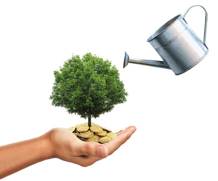 Watering Can And Hand Holding Stack Of Golden Coins With Tree Growing