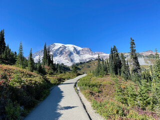 Fototapeta premium Mt. Rainier Skyline Trail
