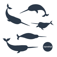 Sea animal narwhal vector silhouette illustrations set. © GooseFrol