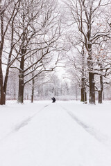 A man on the road in Babolovsky Park. Background forest in winter