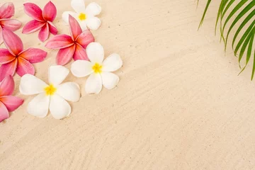 Foto auf Acrylglas White and pink plumeria flowers with a green palm leaf on sand background © Phinyaphat Ritthiruangdet/Wirestock Creators