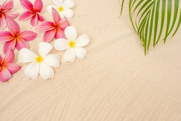 Foto op Canvas White and pink plumeria flowers with a green palm leaf on sand background © Phinyaphat Ritthiruangdet/Wirestock Creators