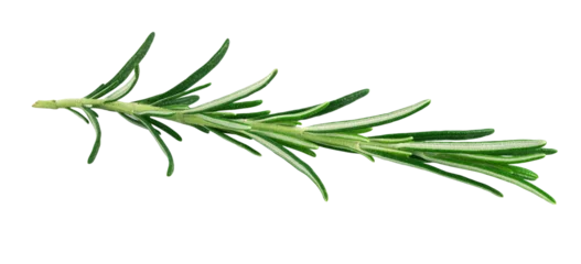 Foto op Plexiglas Rosemary isolated on white background with PNG. © Phuangphet