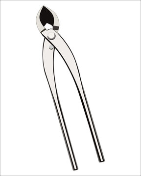 recommend clip art: Vector Illustration of Branch Cutter Professional Bonsai Tools, Manganese Steel Alloy 205mm Concave Cutter Gardening Plants Pruner Wire Cable Pruner isolated on white background. Gardening hand tools