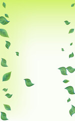 Lime Leaves Fly Vector Green Background Template.