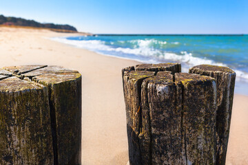 Natural Sand Beach Scenery / Old weathered wooden groynes at coast of Baltic Sea and view along - 542986609