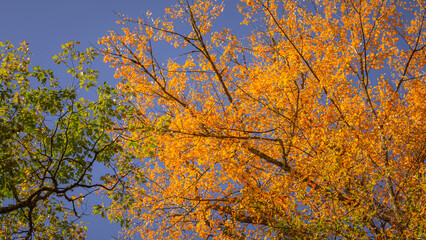 Back roads in the mountains of North Carolina in the autumn.