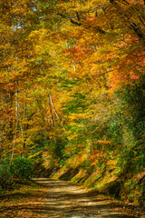 Autumn  on the back roads in the mountains of North Carolina.