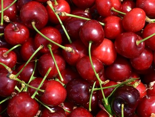 closeup of red cherries and green stalk     on the plate