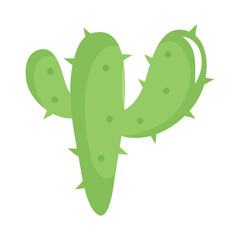 cactus icon image