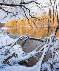 winter landscape isar river, snowy riverside and golden lighted trees at dawn