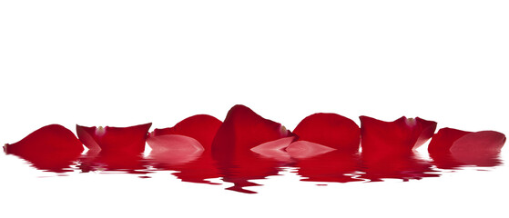 spa de pétalos rojos en el agua