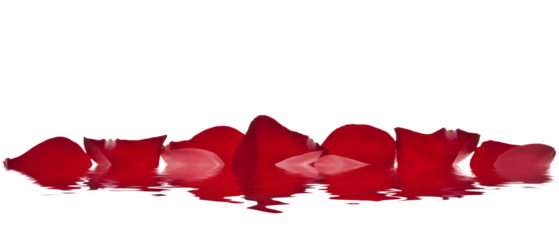 spa de pétalos rojos en el agua