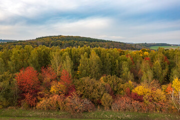 Fototapeta premium A bird's-eye view of trees in a small forest in the Taunus, Germany, which have turned their autumn colors