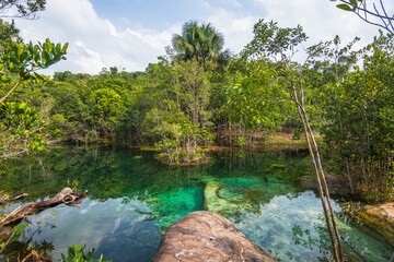 View of the Crystalline Lagoon (Lagoa Cristalina) - Presidente Figueiredo, Amazonas, Brazil