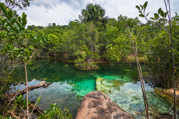 View of the Crystalline Lagoon (Lagoa Cristalina) - Presidente Figueiredo, Amazonas, Brazil
