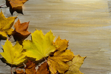 autumn leaves on wooden background