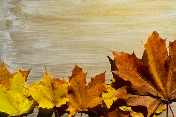 autumn leaves on wooden background