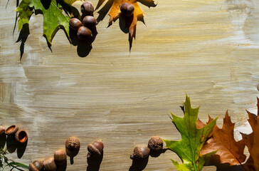 Oak leaves and acorns on wooden background
