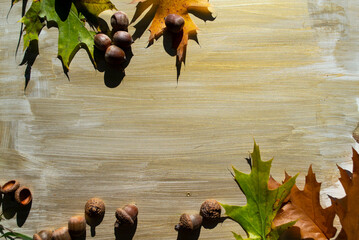 frame of autumn leaves