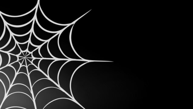 White spiderweb image on dark background, Halloween image.