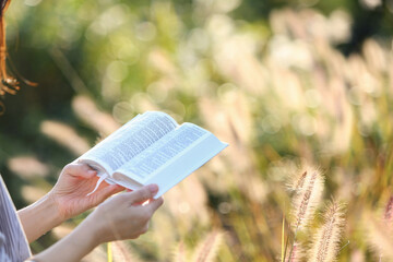 Christian woman resting while reading a bible in a peaceful reed forest on a sunny autumn day
