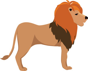 Lion icon. Safari animal. African wild fauna