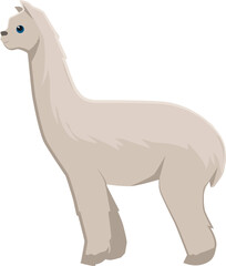 Alpaca icon. Wild llama animal. Zoo fauna