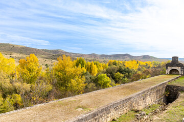 Naklejka premium first colors of autumn in the area of Madrid known as the olive pontoon