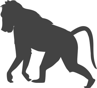 recommend clip art: Wild monkey black silhouette. Primate symbol. Zoo animal