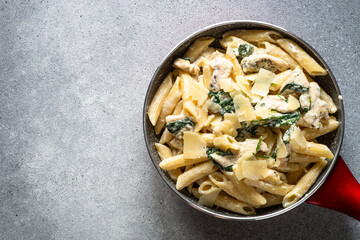 Pasta penne with chicken and spinach in creamy sauce, top view.
