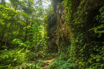 Beautiful landscape of Maroaga Cave and the Judea Grotto - Presidente Figueiredo, Amazonas, Brazil