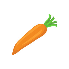 Carrot vector illustration