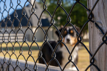 Fototapeta premium Contractor Installing Fence