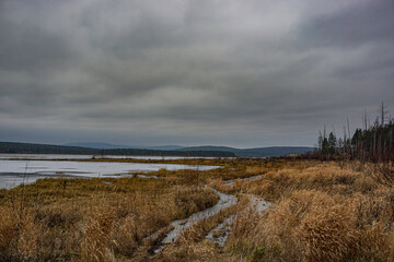 clouds over swamp