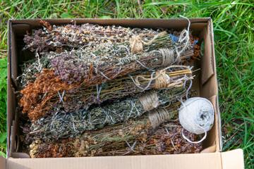 Dried herbs are in a box - 543004052