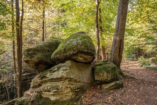 Der sogenannte "Jungfernsitz" in Kalchreuth im Dormitzer Forst bestehend aus Felsbl&ouml;cken im Wald