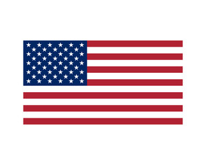 American Flag - Vector © Timothy